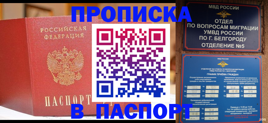 временная регистрация в квартире в Балтийске